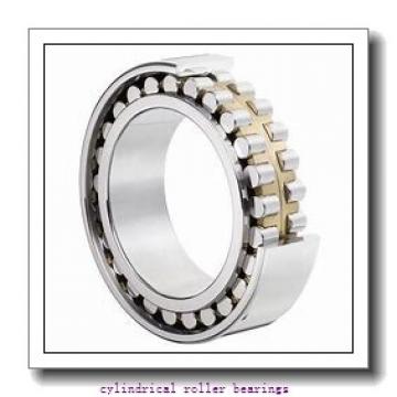 FAG NU1006-M1-C2  Cylindrical Roller Bearings