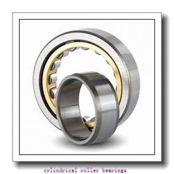 95 mm x 145 mm x 24 mm  FAG NU1019-M1  Cylindrical Roller Bearings