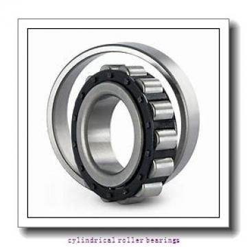 30 mm x 55 mm x 13 mm  FAG NU1006-M1  Cylindrical Roller Bearings