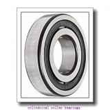 100 mm x 150 mm x 24 mm  FAG NU1020-M1  Cylindrical Roller Bearings