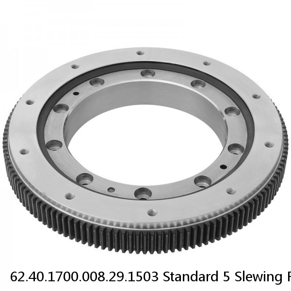 62.40.1700.008.29.1503 Standard 5 Slewing Ring Bearings #1 small image