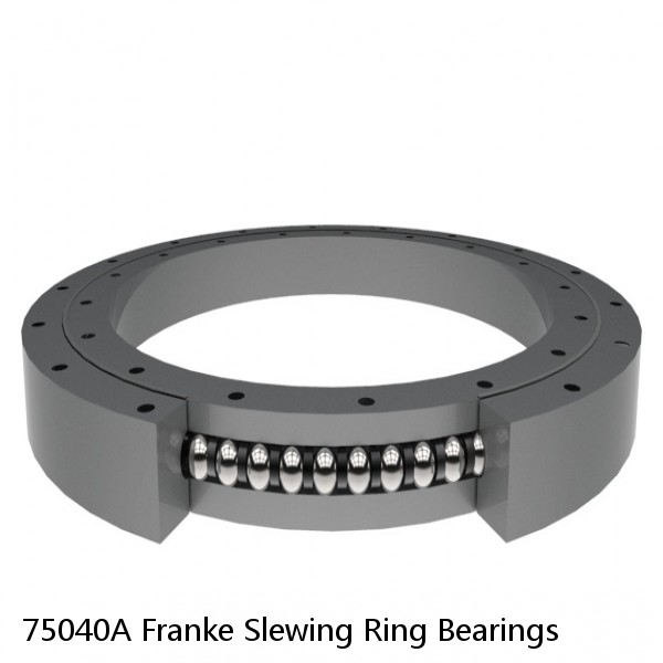 75040A Franke Slewing Ring Bearings
