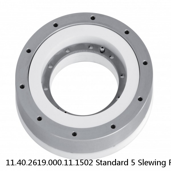 11.40.2619.000.11.1502 Standard 5 Slewing Ring Bearings #1 small image