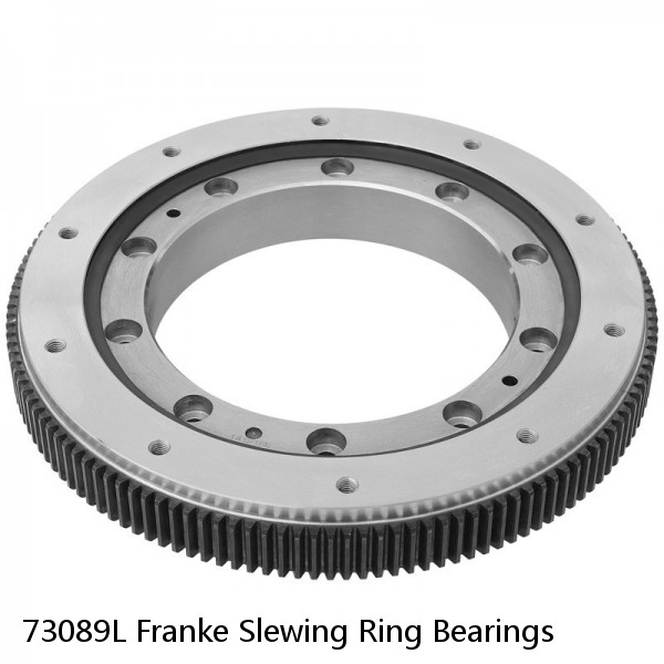 73089L Franke Slewing Ring Bearings #1 small image