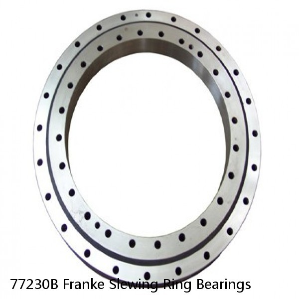 77230B Franke Slewing Ring Bearings #1 small image