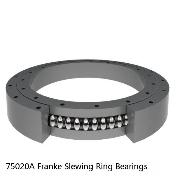 75020A Franke Slewing Ring Bearings #1 small image