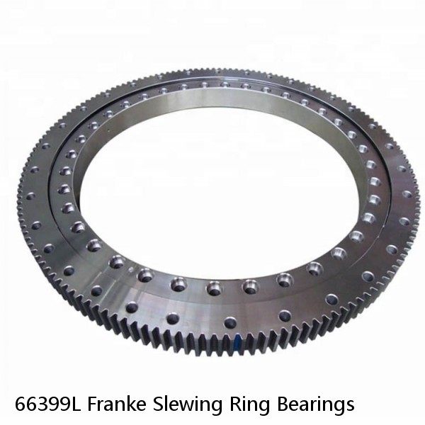66399L Franke Slewing Ring Bearings #1 small image