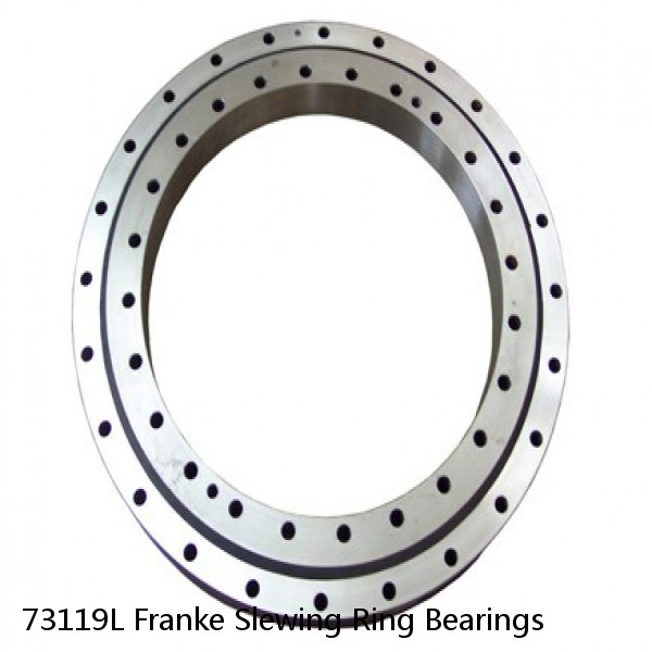 73119L Franke Slewing Ring Bearings