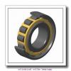 110 mm x 170 mm x 28 mm  FAG NU1022-M1  Cylindrical Roller Bearings