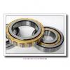65 mm x 100 mm x 18 mm  FAG NU1013-M1  Cylindrical Roller Bearings