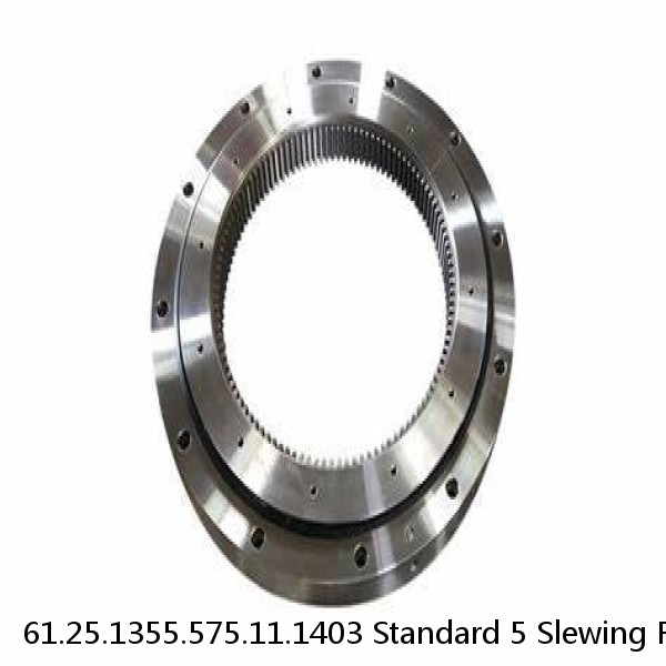 61.25.1355.575.11.1403 Standard 5 Slewing Ring Bearings #1 image