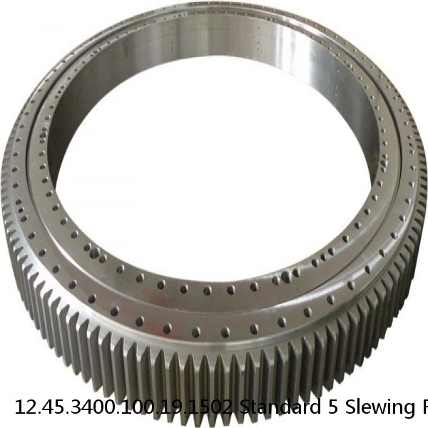 12.45.3400.100.19.1502 Standard 5 Slewing Ring Bearings #1 image