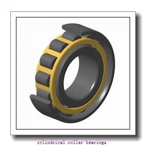 55 mm x 90 mm x 18 mm  FAG NU1011-E-M1  Cylindrical Roller Bearings #1 image
