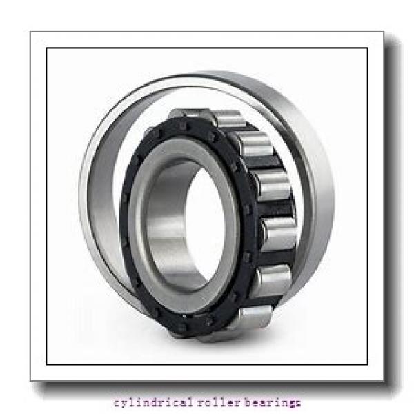 100 mm x 150 mm x 24 mm  FAG NU1020-M1  Cylindrical Roller Bearings #2 image